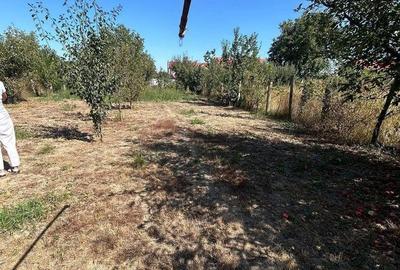 Casă cu 3 camere cu Teren 900 Mp în Central - 5