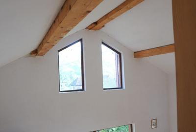 CABANA DE LA MUNTE, UN LOC FERMECATOR - 16