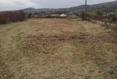 Spațiu comercial, în Copăcelu