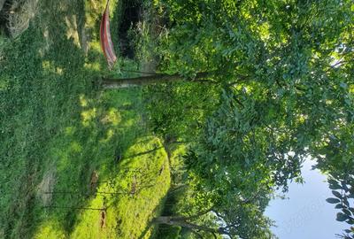 Casă cu 2 camere în Stâncești - 3