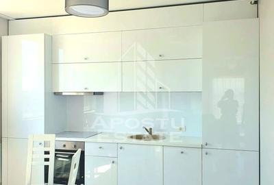 Penthouse Malul Muresului - 6