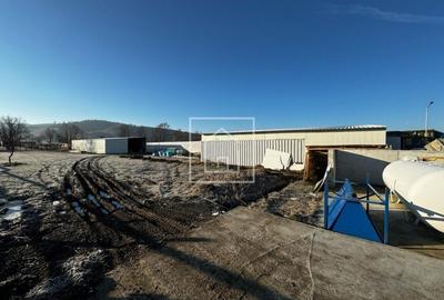 Fabrica de Furaje FNC cu Ferma de Struti in Cornatel - 13Km de Sibiu - 6
