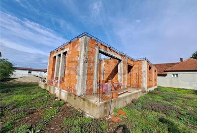 RECO Casa la rosu Biharia - 5