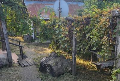 Casă cu 7 camere cu Teren 279 Mp în Central - 3