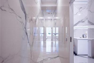 Spațiu comercial, de 180 mp, în Domenii - 32