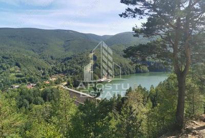 Teren de 2000 mp, în Văliug - 7