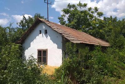 Casă cu 3 camere cu Teren 2600 Mp în Dioști - 7
