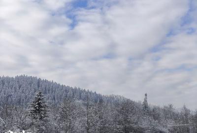 Teren de 22600 mp, în Sucevița - 5