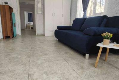 Apartament cu 2 camere decomandat în Sânmartin - 13