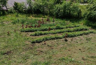 Casă cu 3 camere cu Teren 10300 Mp în Central - 6