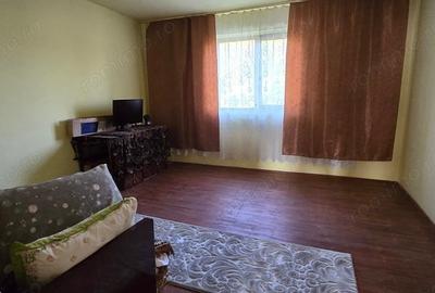 Casă cu 5 camere cu Teren 2763 Mp în Băița - 10