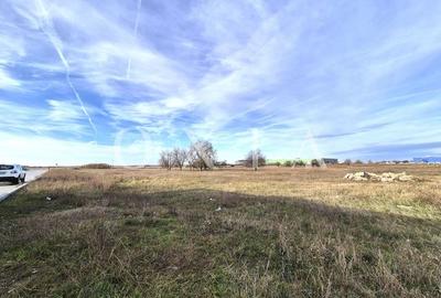 AX959 Teren Intravilan, Zona Industriala Monlandys, Calea Sagului - 3