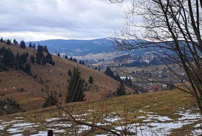 Vand casa ?i teren 3892m - 1