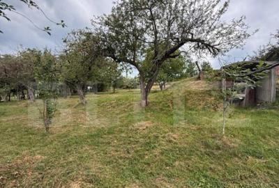 Casa etaj, 140 mp utili, 4800 mp teren, Adancata - 3