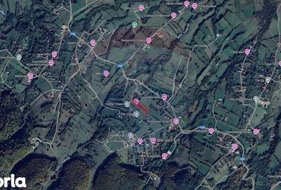 Teren de 4223 mp, în Bran - 5