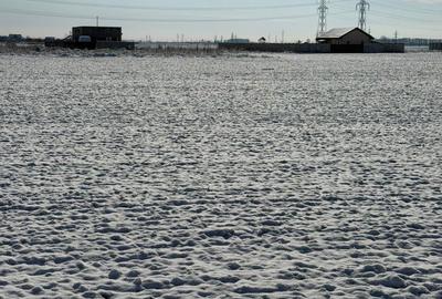 Spațiu comercial, în Proaspeți - 2