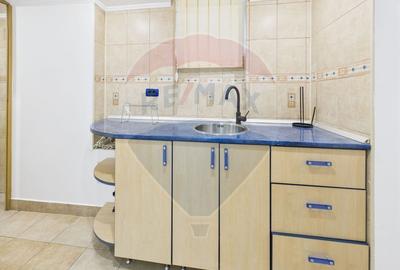 Apartament in vila de inchiriat in zona Kiseleff - 18