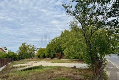 Teren de I Bucurestii Noi I Damaroaia - 2