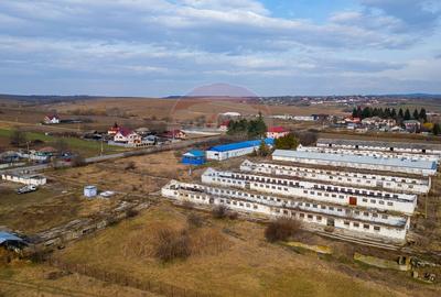 Teren  intravilan in sat Zapodia, com. Traian, jud. Bacau, 36.200mp, - 3