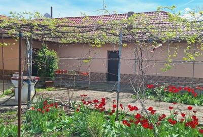 Casă individuală cu 2 camere cu Teren 1215 Mp în Movilița - 2