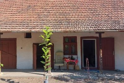 Vind casă in Voiteg Timis - 5