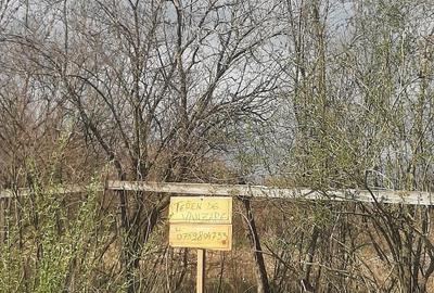 Teren de 2000 mp, în Sânnicolau Român - 4