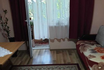Apartament cu 2 camere semidecomandat în Botizului - 1
