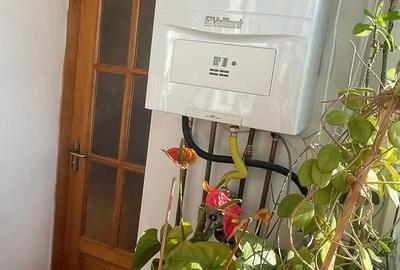 Apartament cu 3 camere decomandat în Paltiniș - 2