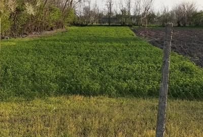 Teren de 2500 mp, în Scorțaru Vechi - 2