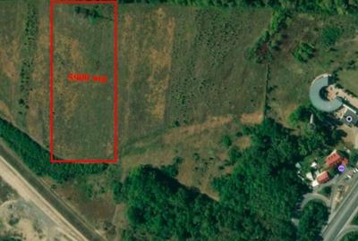 Teren 5900 mp - Km 36 - Petrom Teren 5900 mp - Km 36 - Petrom - 2