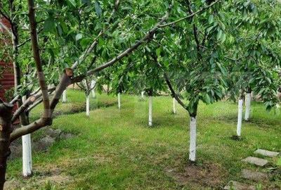 Casa de vanzare in Bogata de Mures - 3