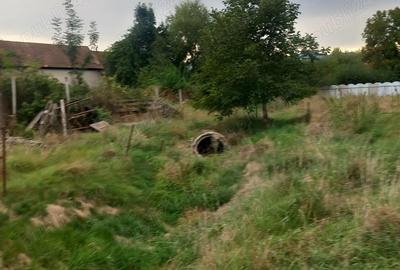 Casă cu 3 camere în Sâmbăta de Sus - 5