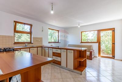 Casa spatioasa 5 camere Bucov - 10