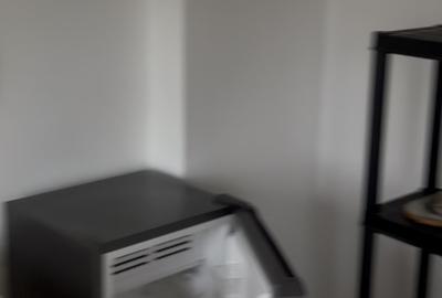 Strada Pictor Theodor Aman, sector 1, Bucuresti, ultracentral Strada Pictor Theodor Aman, sector 1, Bucuresti, ultracentral - 9