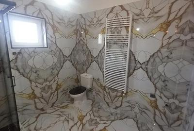 Casă cu 3 camere cu Teren 300 Mp în Beregsău Mare - 8