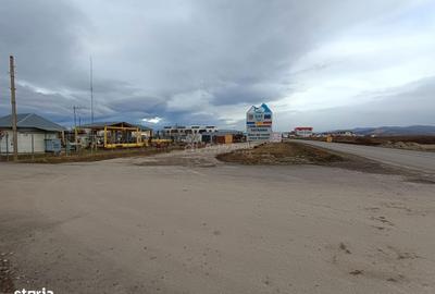 Teren de 9000 mp, în Est - 6