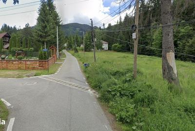 Teren de 2000 mp, în Ceahlău - 3