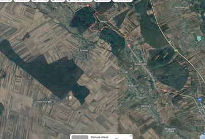Teren extgravilan agricol Uliesti, ID: R2263433 - 3