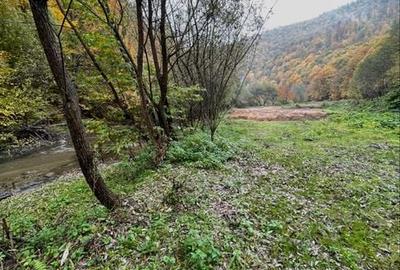 Spațiu comercial, în Central - 6