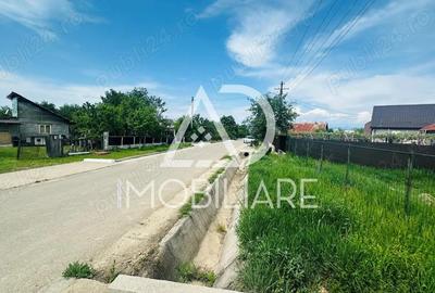 Teren de vanzare in Dane?ti, Sasa 8 km de Targu-Jiu - 2
