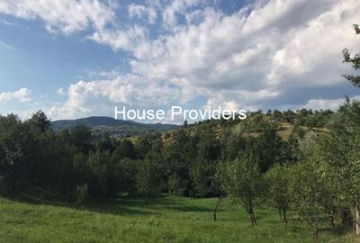 Teren intravilan de 6400 mp, în Drajna - 3