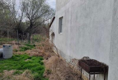 Casă cu 4 camere în Uzlina - 4