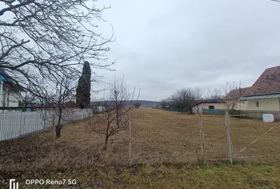 Teren de vanzare -Reghin - Iernuțeni 7000 mp - 4