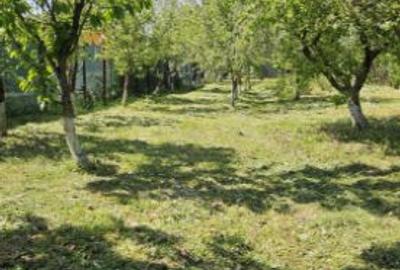 Casa de vanzare în loc. Dițești, com. Filipeștii de Pădure, jud. Prahova - 10