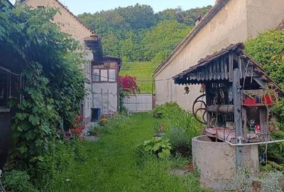 Casă cu 3 camere cu Teren 1000 Mp în Seleuș (Zagăr) - 3