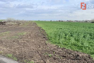 Teren Construcții intravilan de 502 mp, în Săcălaz - 2