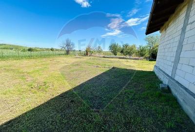 Casă individuală cu 6 camere cu Teren 1624 Mp în Pielești - 5