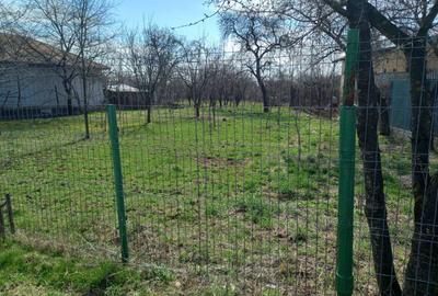 Spațiu comercial, în Scorțeni - 4