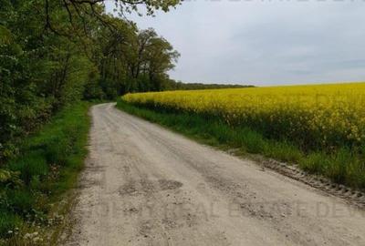 Teren intravilan construibil Gruiu - Caldarusani - 2