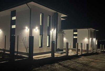 Casă cu 4 camere în Vișan - 2